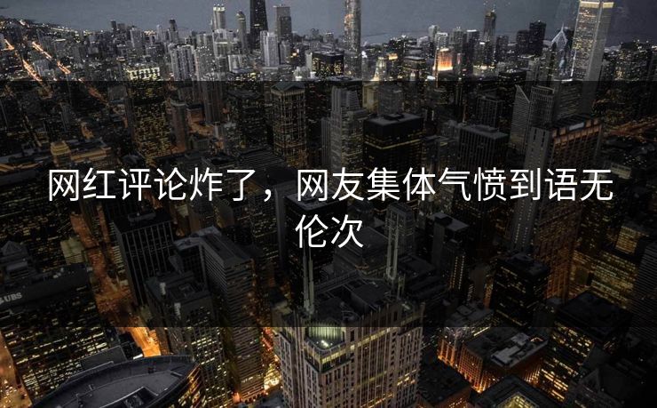 网红评论炸了，网友集体气愤到语无伦次