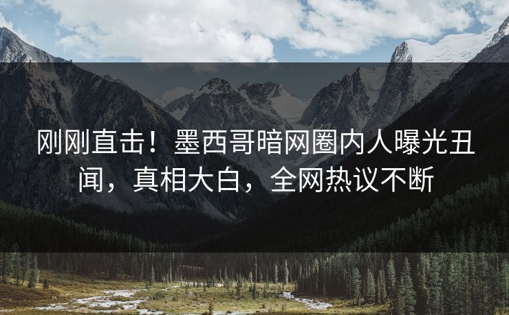 刚刚直击！墨西哥暗网圈内人曝光丑闻，真相大白，全网热议不断
