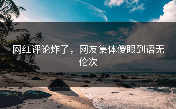 网红评论炸了，网友集体傻眼到语无伦次