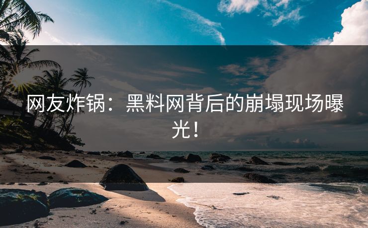 网友炸锅：黑料网背后的崩塌现场曝光！