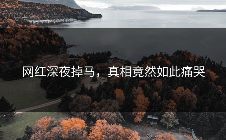 网红深夜掉马，真相竟然如此痛哭