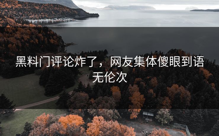 黑料门评论炸了，网友集体傻眼到语无伦次