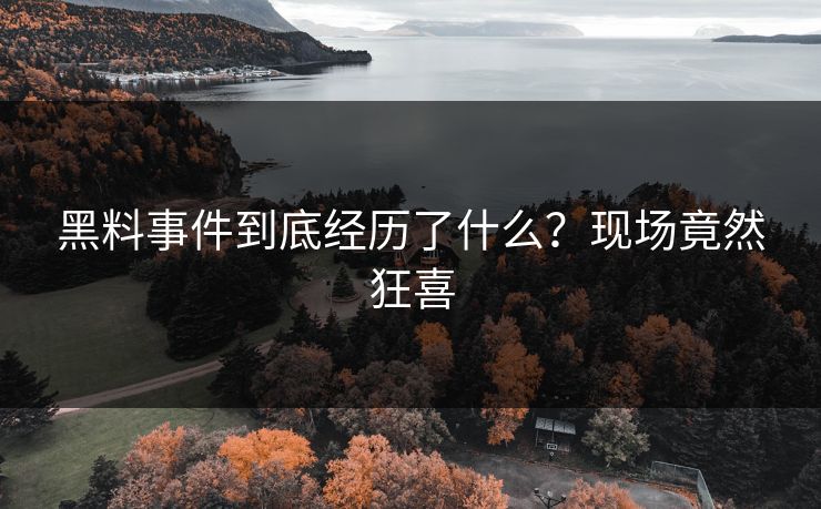 黑料事件到底经历了什么？现场竟然狂喜