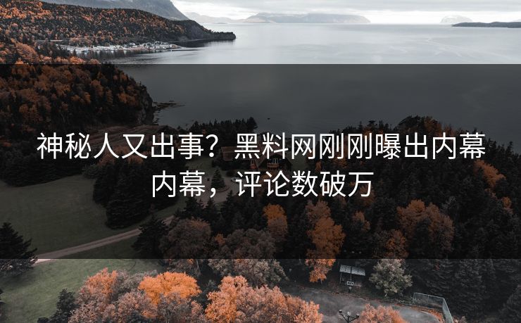 神秘人又出事？黑料网刚刚曝出内幕内幕，评论数破万