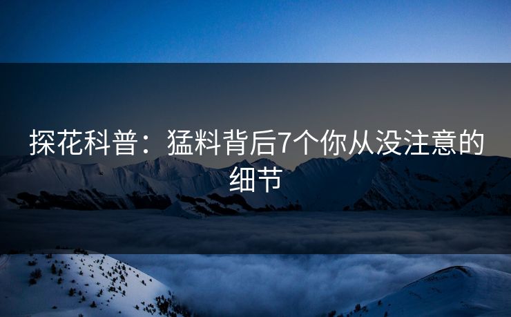 探花科普：猛料背后7个你从没注意的细节
