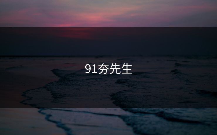 91夯先生
